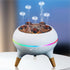 Jellyfish humidifier diffuser with colorful LED lights