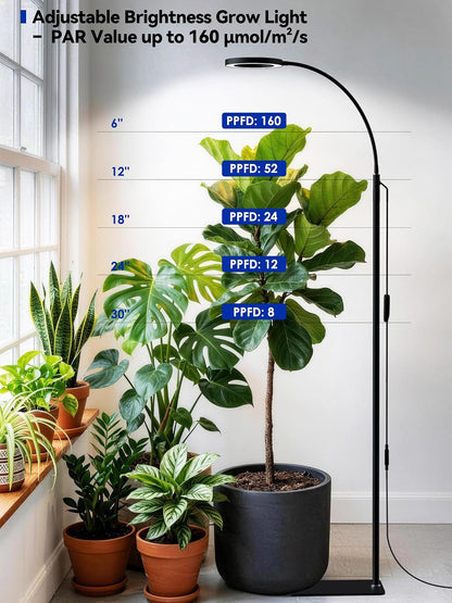 Grow Lights for Indoor Plants | Adjustable Stand encalife