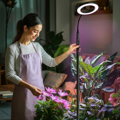 Grow Lights for Indoor Plants with Timer encalife