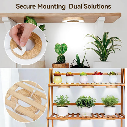 Grow Lights for Indoor Plants | Quad-Ring Spectrum encalife