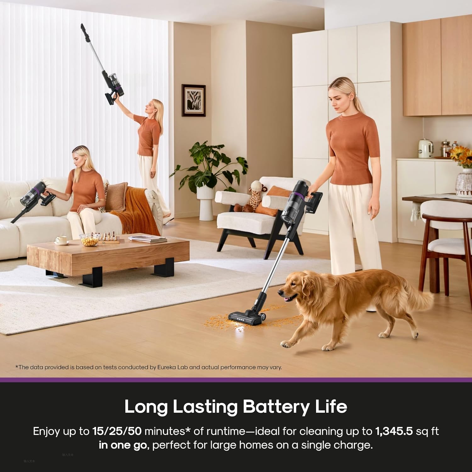Eureka Cordless Vacuum for Pet Hair encalife