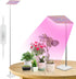 Grow Light For Indoor Plants | Full Spectrum Stand encalife