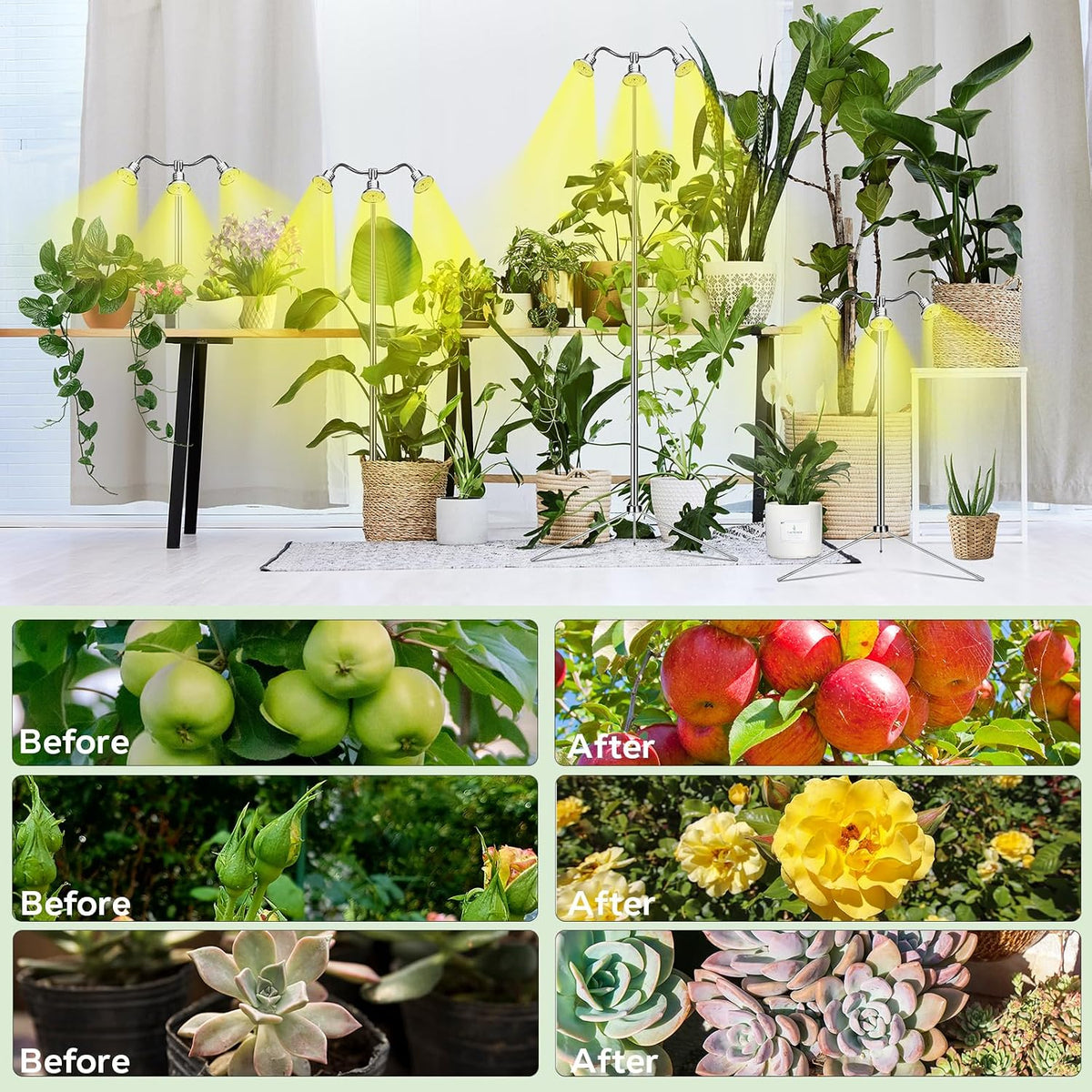 Grow Light For Indoor Plants | Adjustable Tripod Full Spectrum encalife