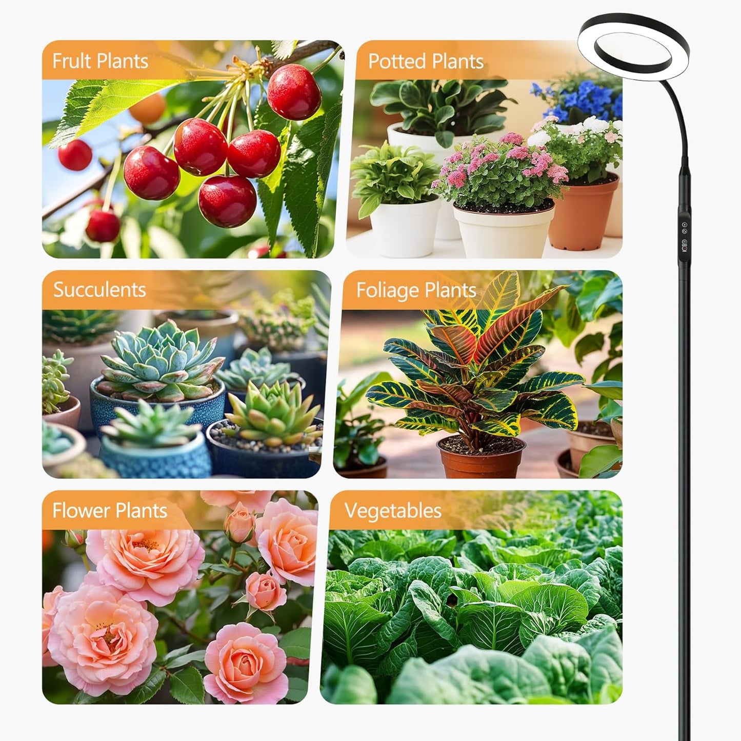 Grow Lights for Indoor Plants with Timer encalife