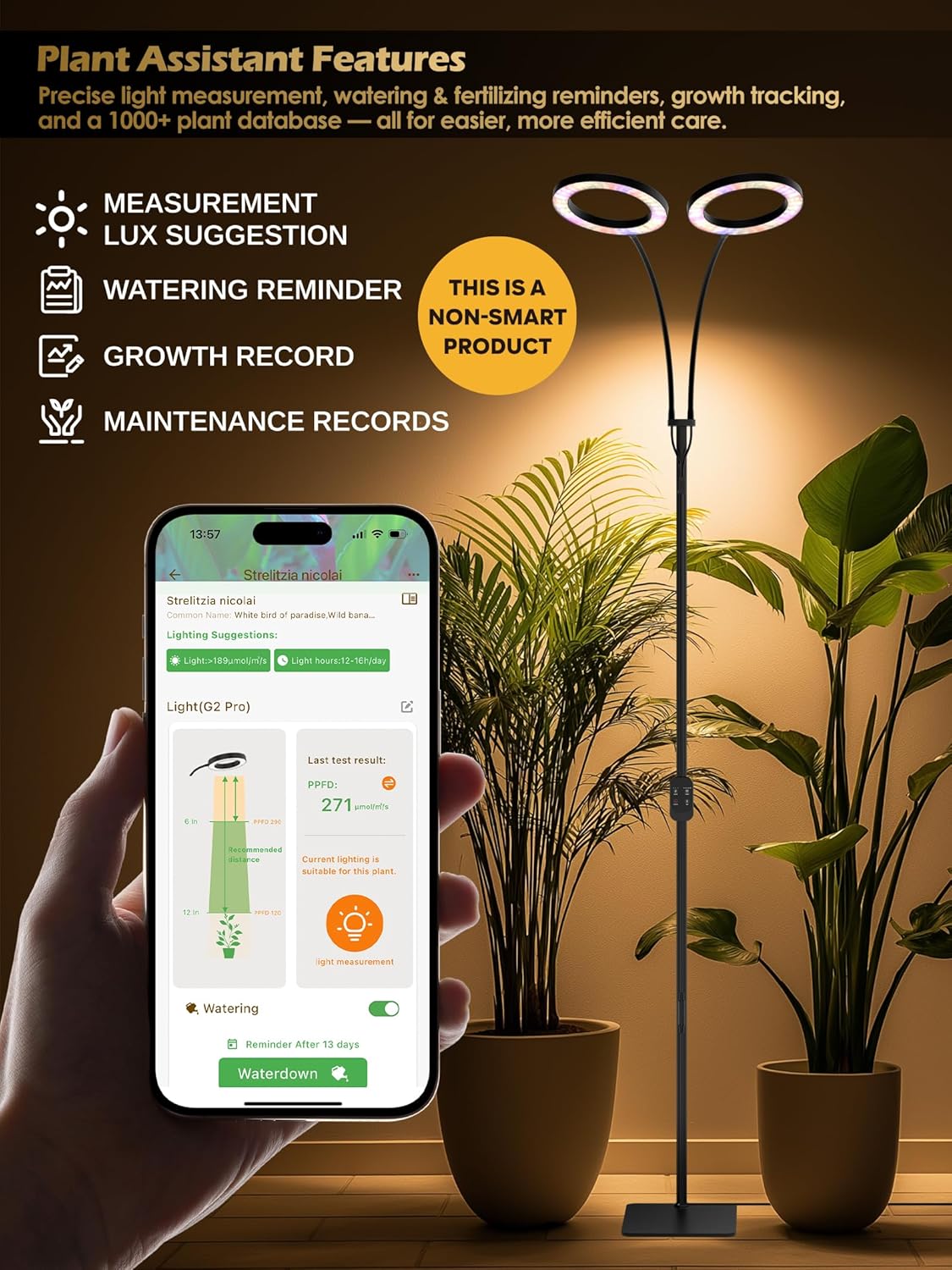 Grow Lights for Indoor Plants I 48W LED Lamp encalife