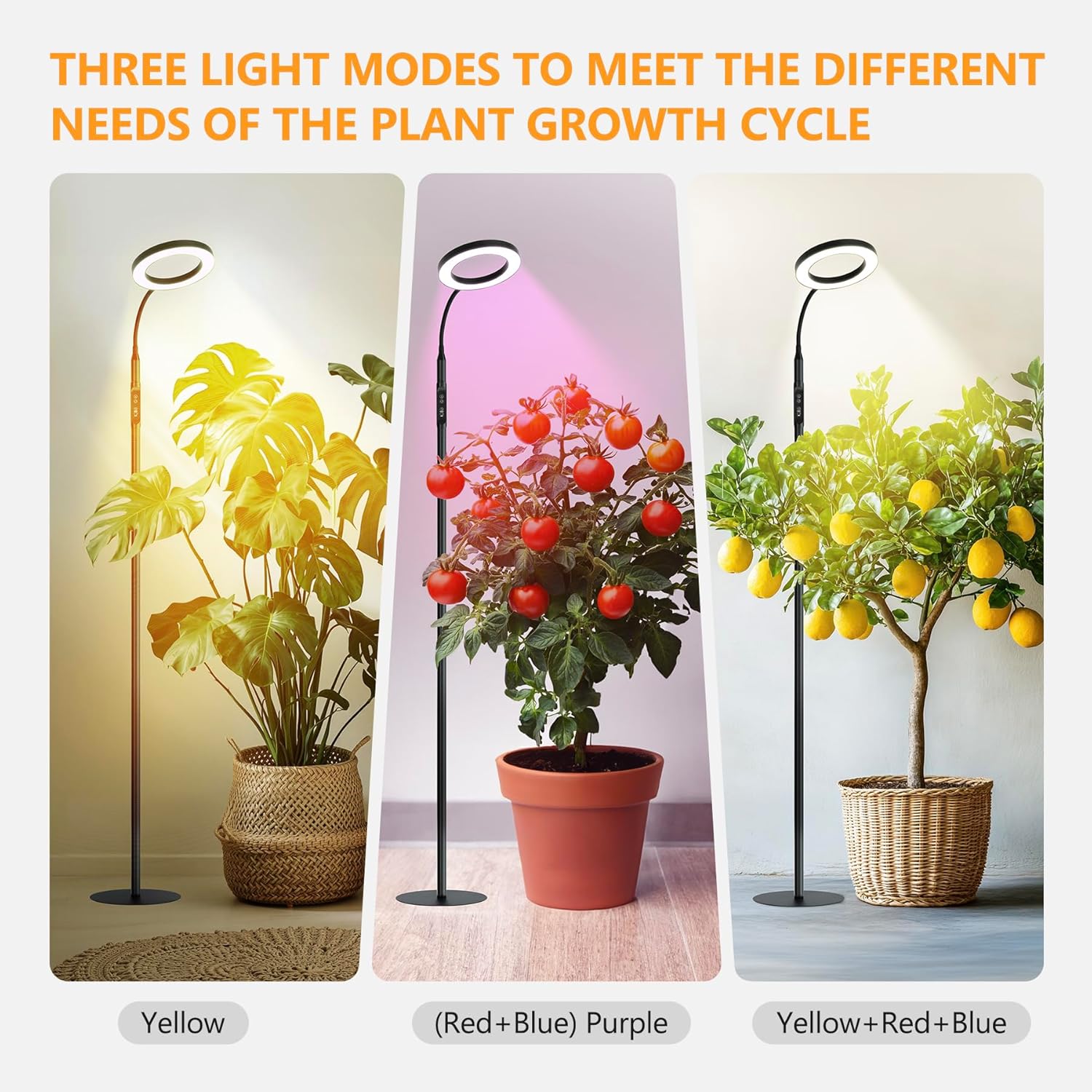 Grow Lights for Indoor Plants with Timer encalife