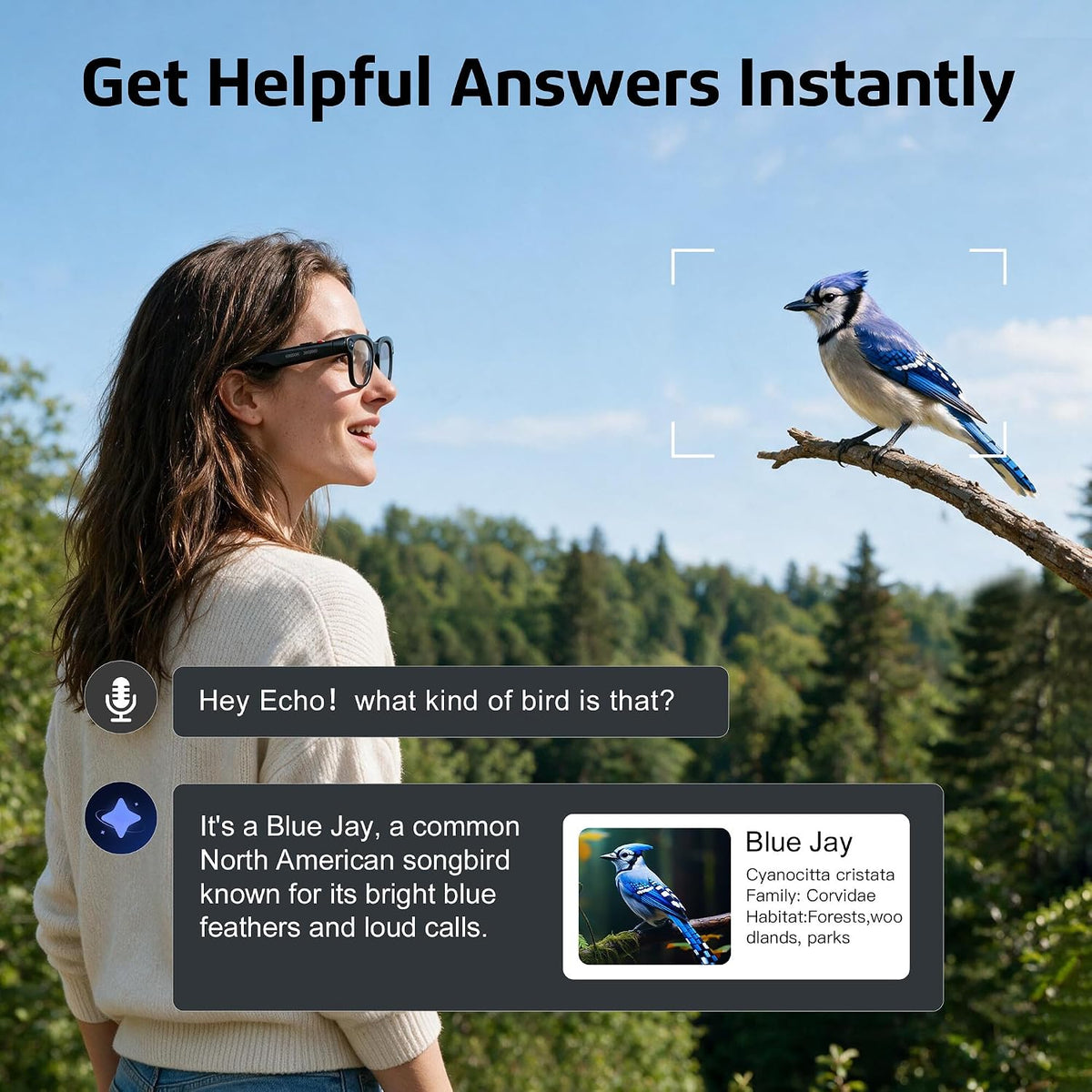 Glasses AI Camera Translation Smart Eyewear encalife