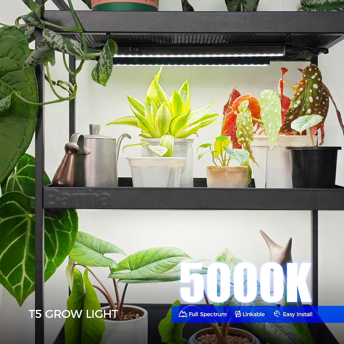 Grow Light For Indoor Plants | Full Spectrum Bar encalife