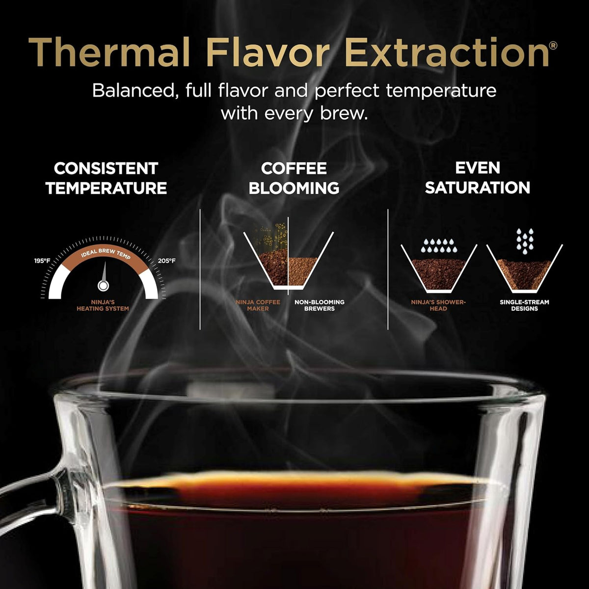 Hot Iced Coffee Maker with Frother encalife