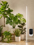 Grow Light For Indoor Plants | Vertical Full Spectrum encalife