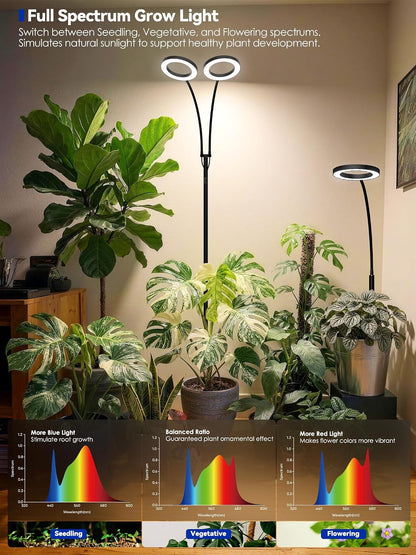 Grow Lights for Indoor Plants | Adjustable Stand encalife