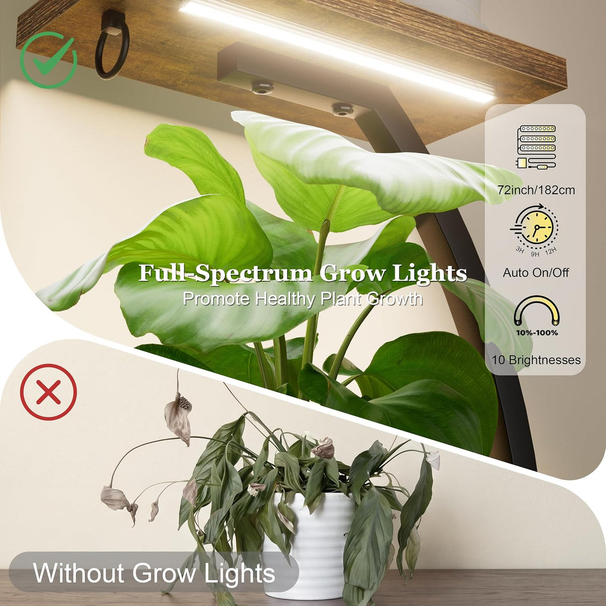 Grow lights for indoor plant | 2-Pack Plant Stand encalife