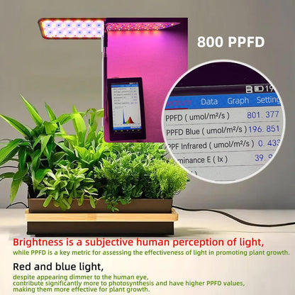 Grow Lights for Indoor Plants | Smart LED Plant Lamp encalife