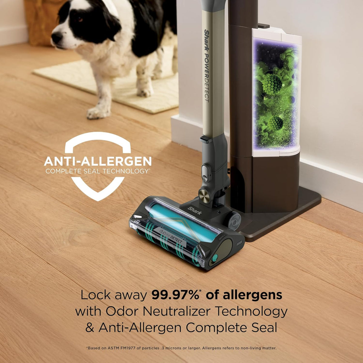 Self Emptying Cordless Vacuum For Pet Hair encalife