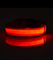 Nylon LED Night‑Safety Dog Leash Collar encalife