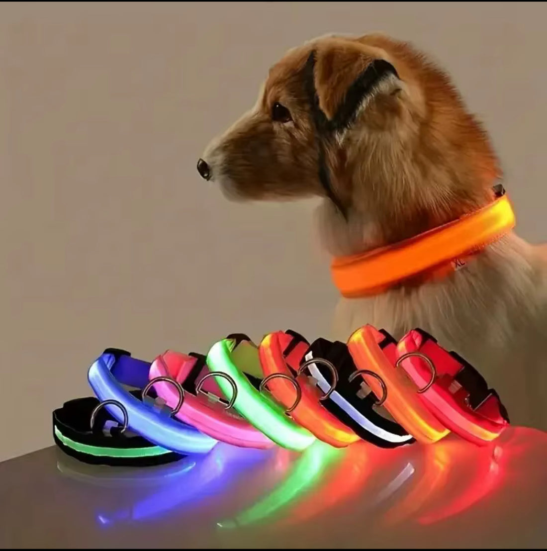 Nylon LED Night‑Safety Dog Leash Collar