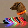 Nylon LED Night‑Safety Dog Leash Collar