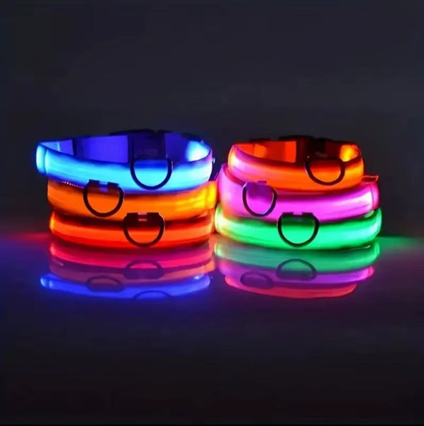 Nylon LED Night‑Safety Dog Leash Collar encalife
