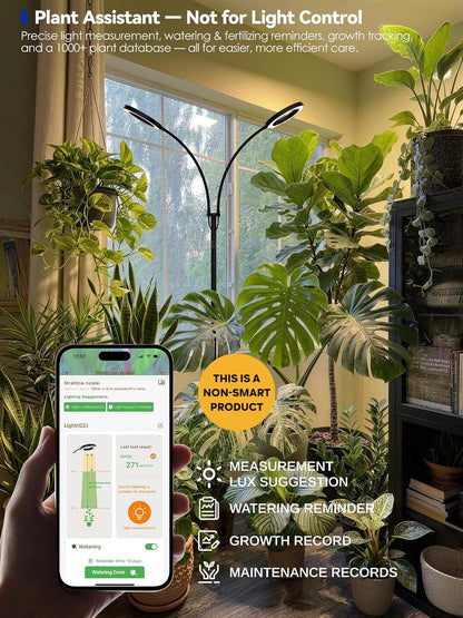 Grow Lights for Indoor Plants | Adjustable Stand encalife