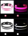 Nylon LED Night‑Safety Dog Leash Collar