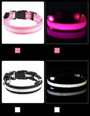 Nylon LED Night‑Safety Dog Leash Collar encalife