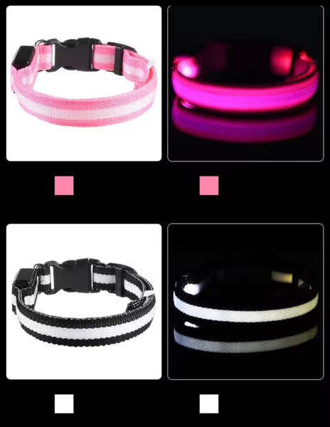 Nylon LED Night‑Safety Dog Leash Collar encalife