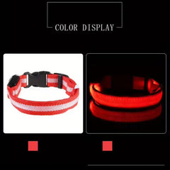 Nylon LED Night‑Safety Dog Leash Collar encalife