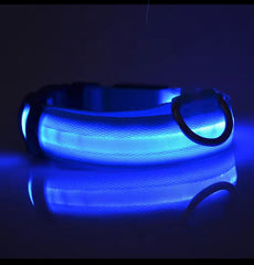 Nylon LED Night‑Safety Dog Leash Collar encalife