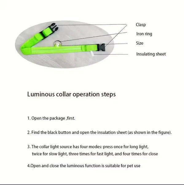 Nylon LED Night‑Safety Dog Leash Collar encalife