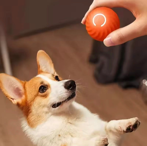 Dog Toy Ball Automatic Moving Bouncing Rolling Ball USB Smart puppy Interactive Dog Chew Toy Ball encalife