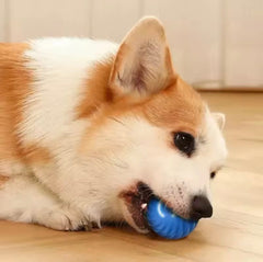 Dog Toy Ball Automatic Moving Bouncing Rolling Ball USB Smart puppy Interactive Dog Chew Toy Ball encalife