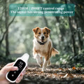 800m Digital Dog Training Collar Waterproof Rechargeable Remote Control Pet with LCD Display for All Size Shock Vibration Sound