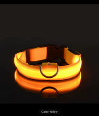 Nylon LED Night‑Safety Dog Leash Collar encalife