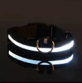 Nylon LED Night‑Safety Dog Leash Collar