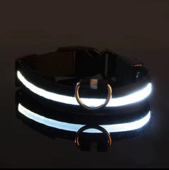 Nylon LED Night‑Safety Dog Leash Collar encalife