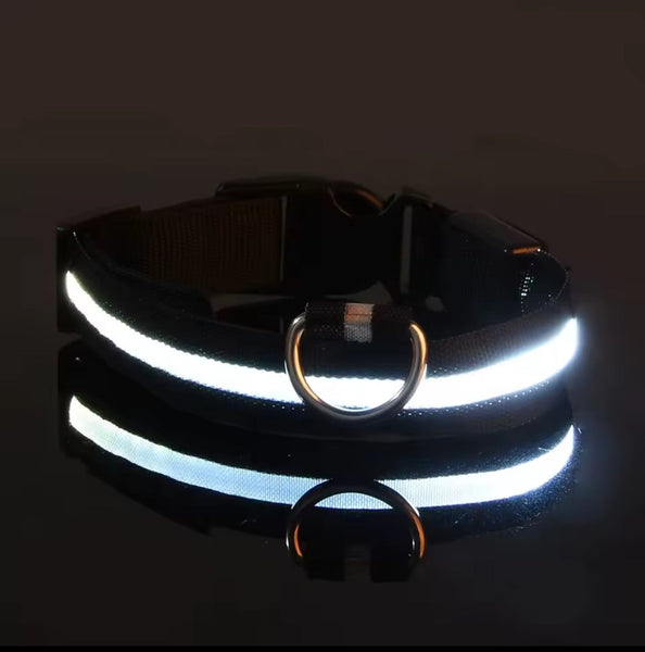Nylon LED Night‑Safety Dog Leash Collar encalife