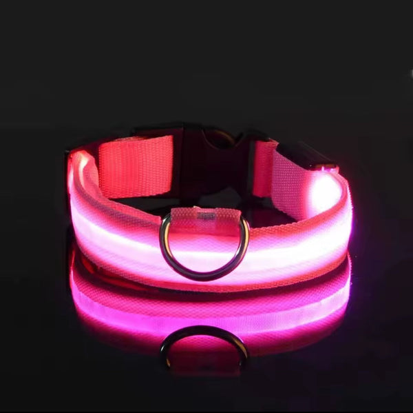 Nylon LED Night‑Safety Dog Leash Collar encalife