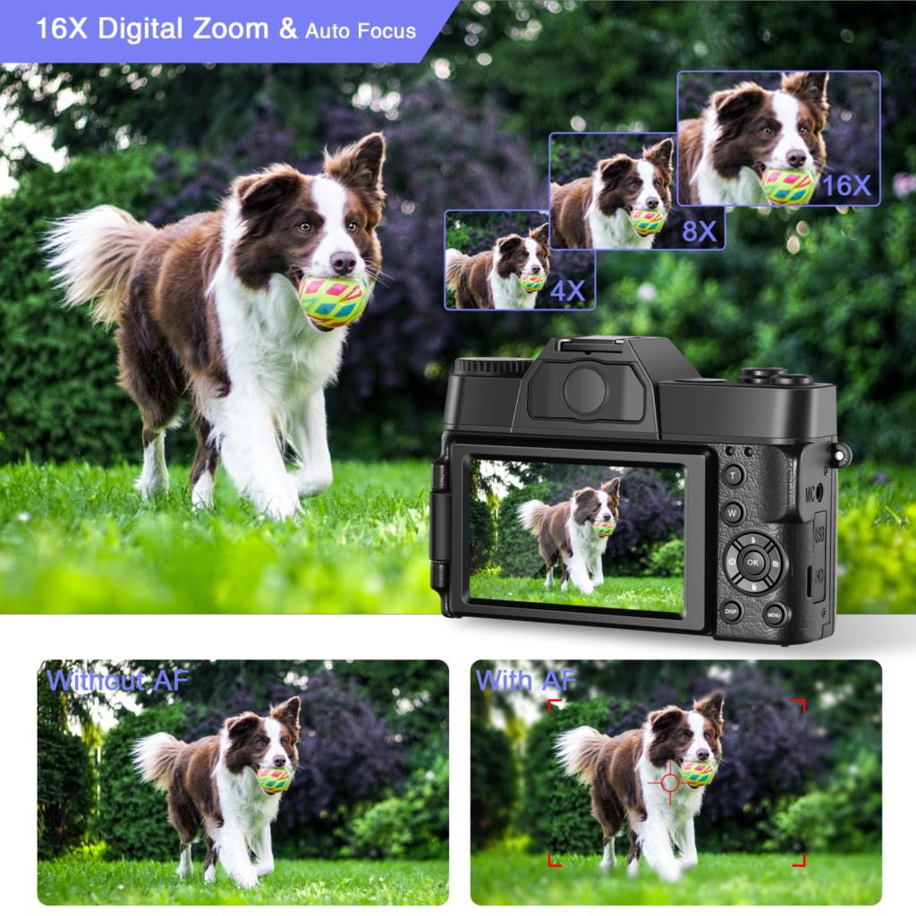 Camera for Beginners | Built-In Image Stabilization Technology encalife