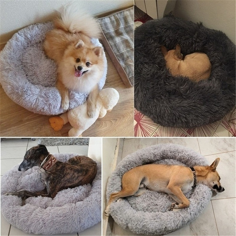 Luxurious Donut-Shaped Dog Bed | Orthopedic Design