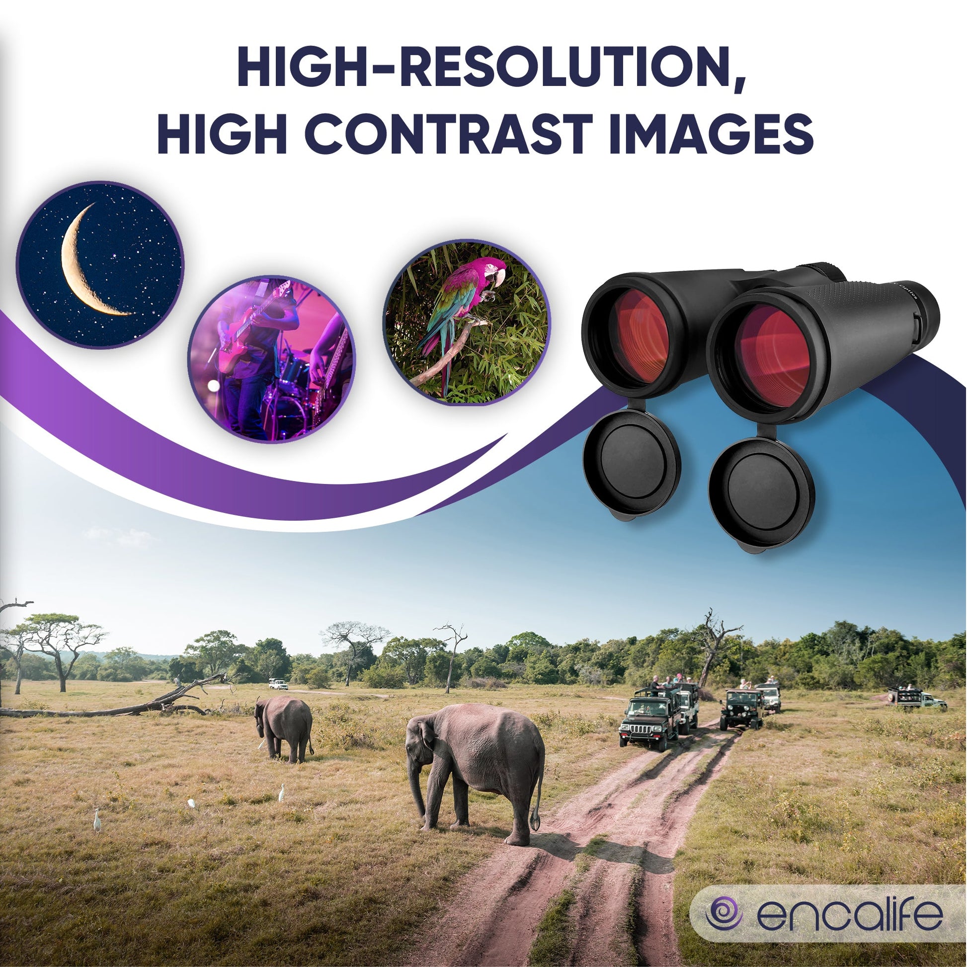Extra-Low Dispersion Binoculars | ENBI202 encalife