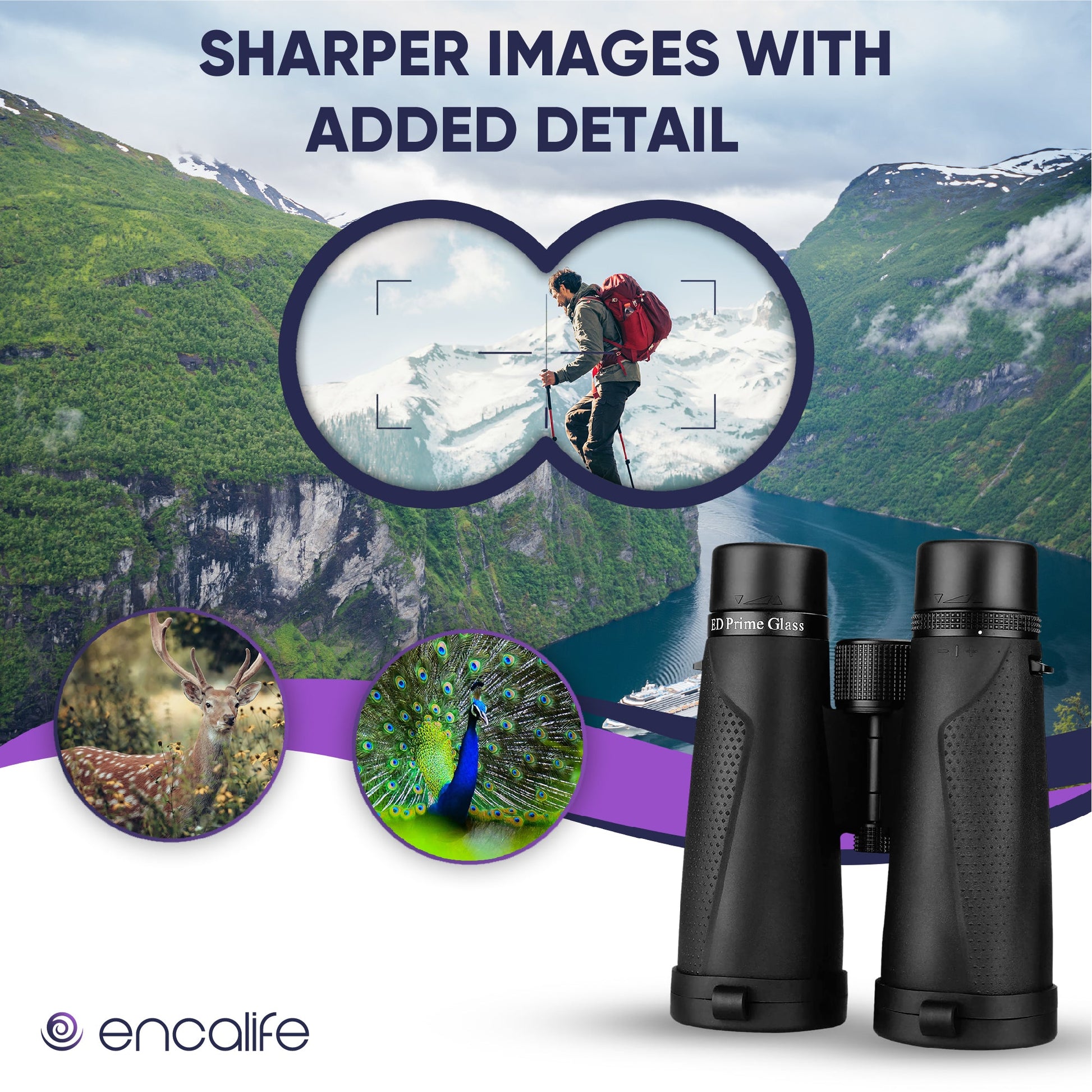 Extra-Low Dispersion Binoculars | ENBI202 encalife