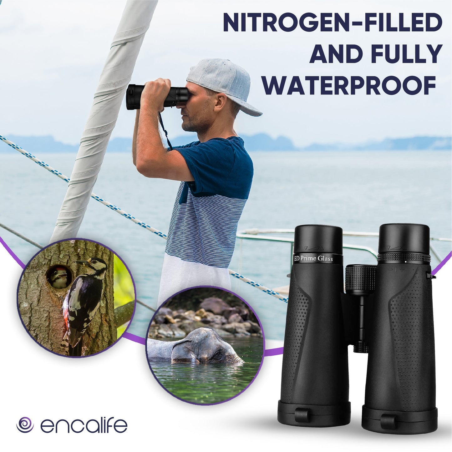 Extra-Low Dispersion Binoculars | ENBI202 encalife