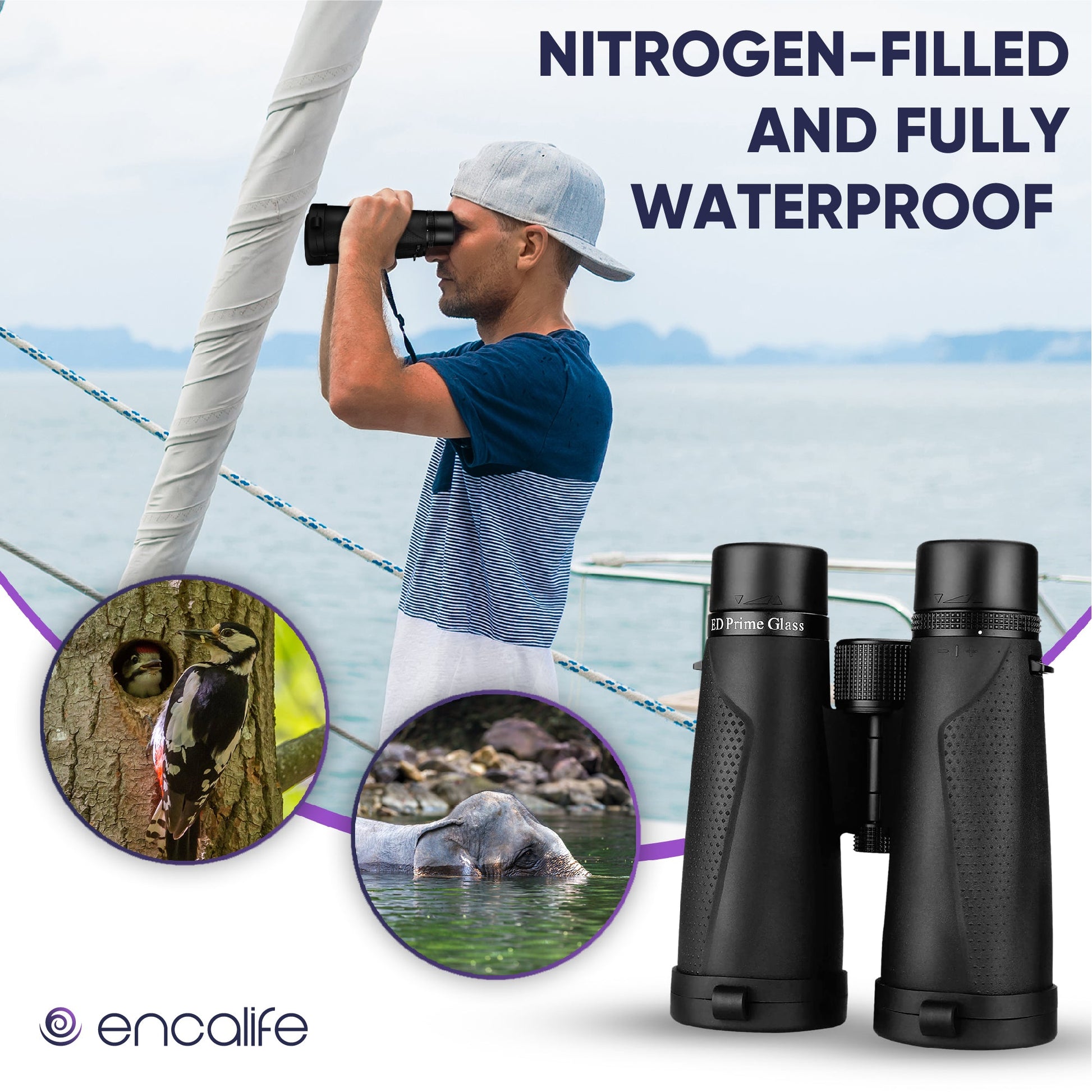 Extra-Low Dispersion Binoculars | ENBI202 encalife