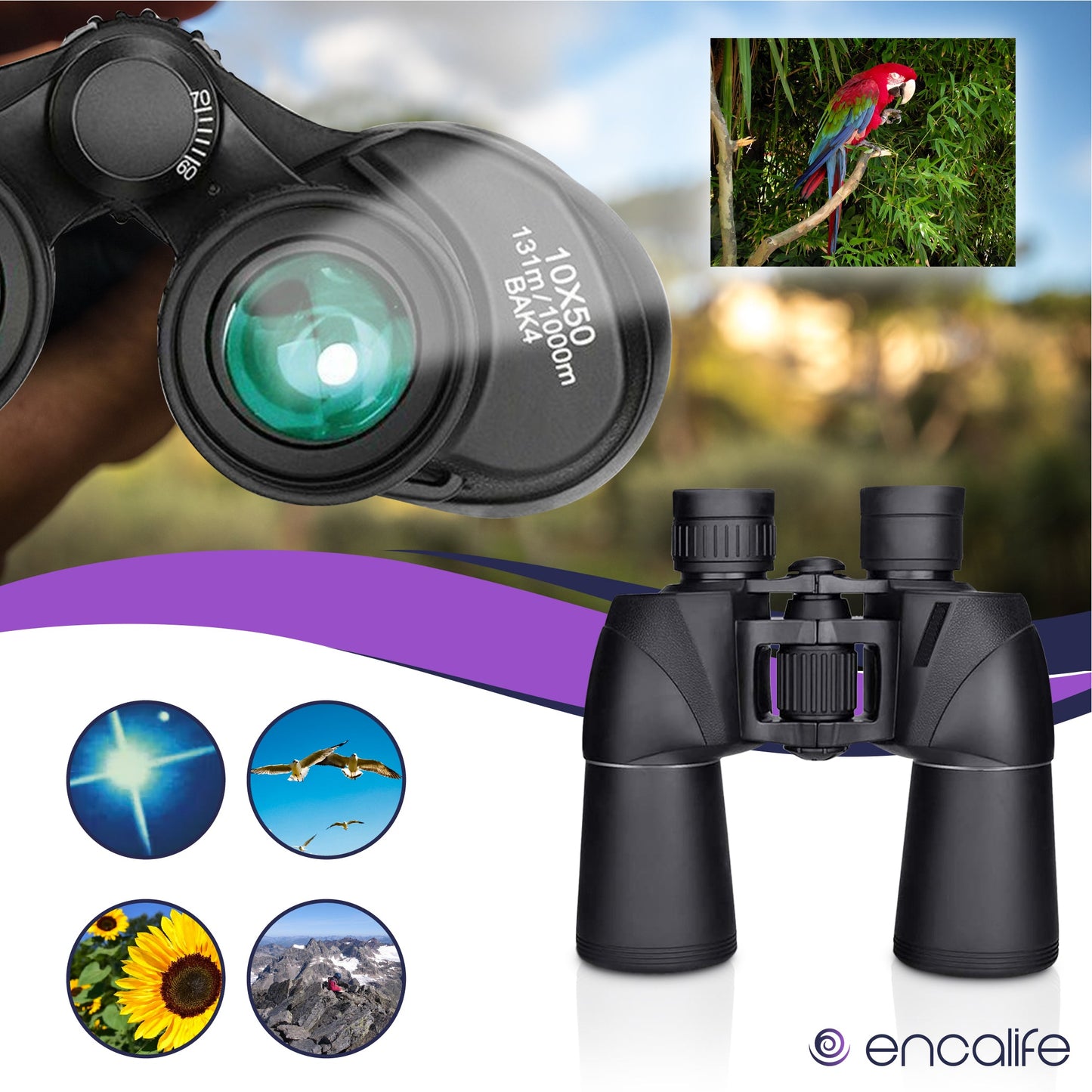 Astronomy Binoculars | ENBI206 encalife