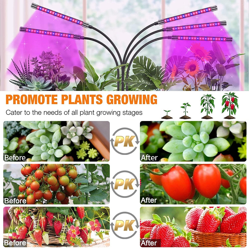 Grow Light For Indoor Plants | 5-Head Full Spectrum encalife