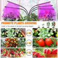 Grow Light For Indoor Plants | 5-Head Full Spectrum