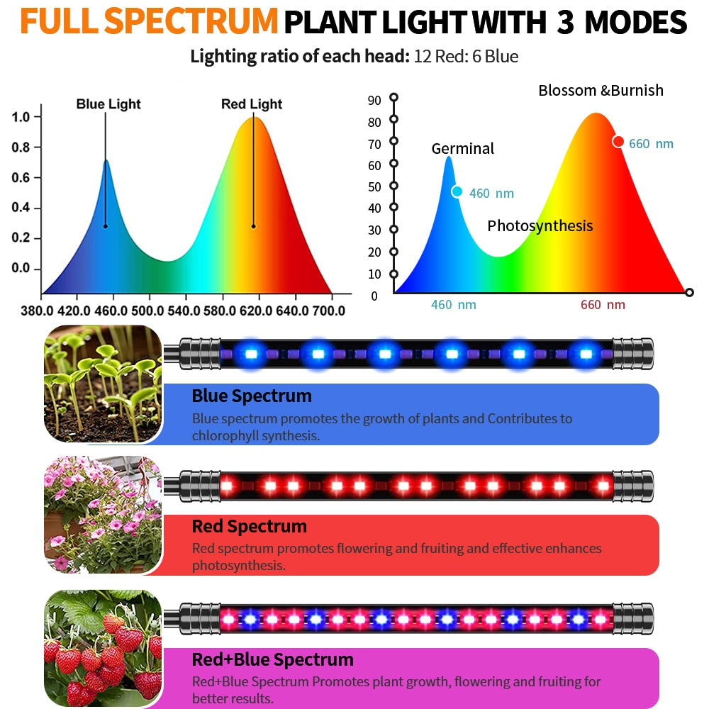Grow Light For Indoor Plants | 5-Head Full Spectrum