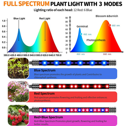 Grow Light For Indoor Plants | 5-Head Full Spectrum