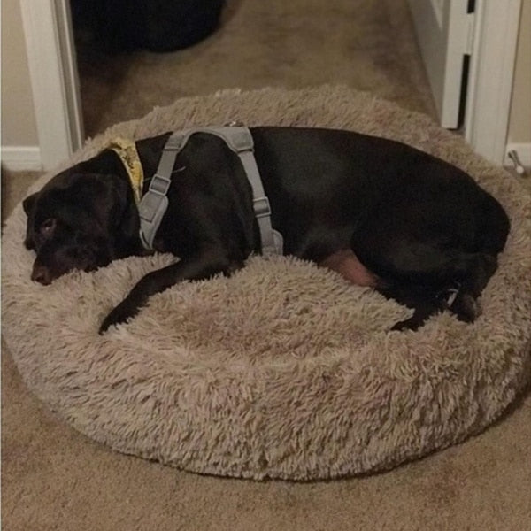 Luxurious Donut-Shaped Dog Bed | Orthopedic Design