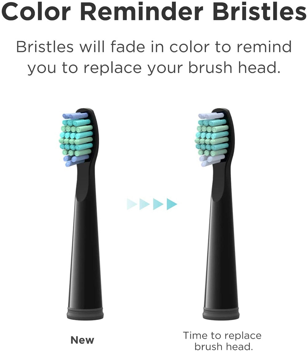 Electric Toothbrush | Black | Includes 8 Heads encalife